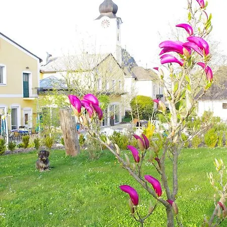 Natur.gut Gartner イン Sankt Marien